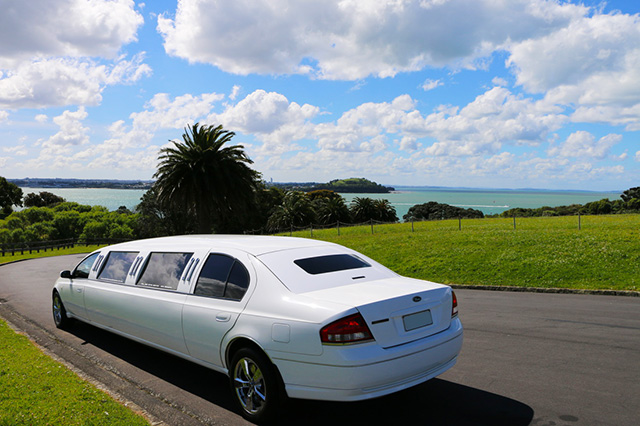 Auckland Ford limousine tours
