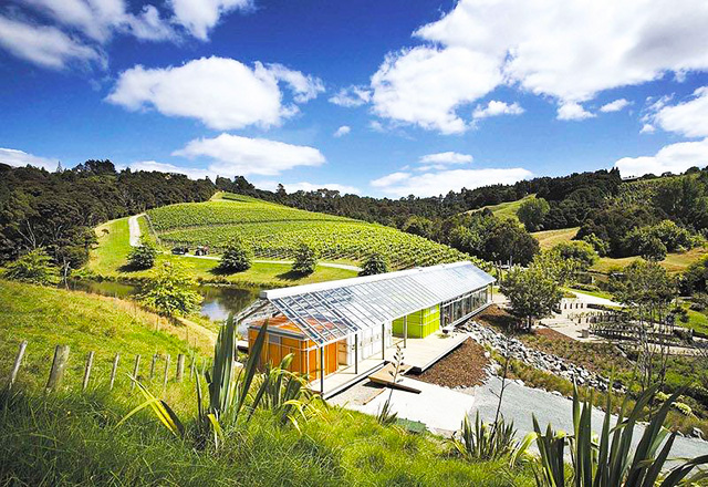Auckland wine tours - Matakana wine region